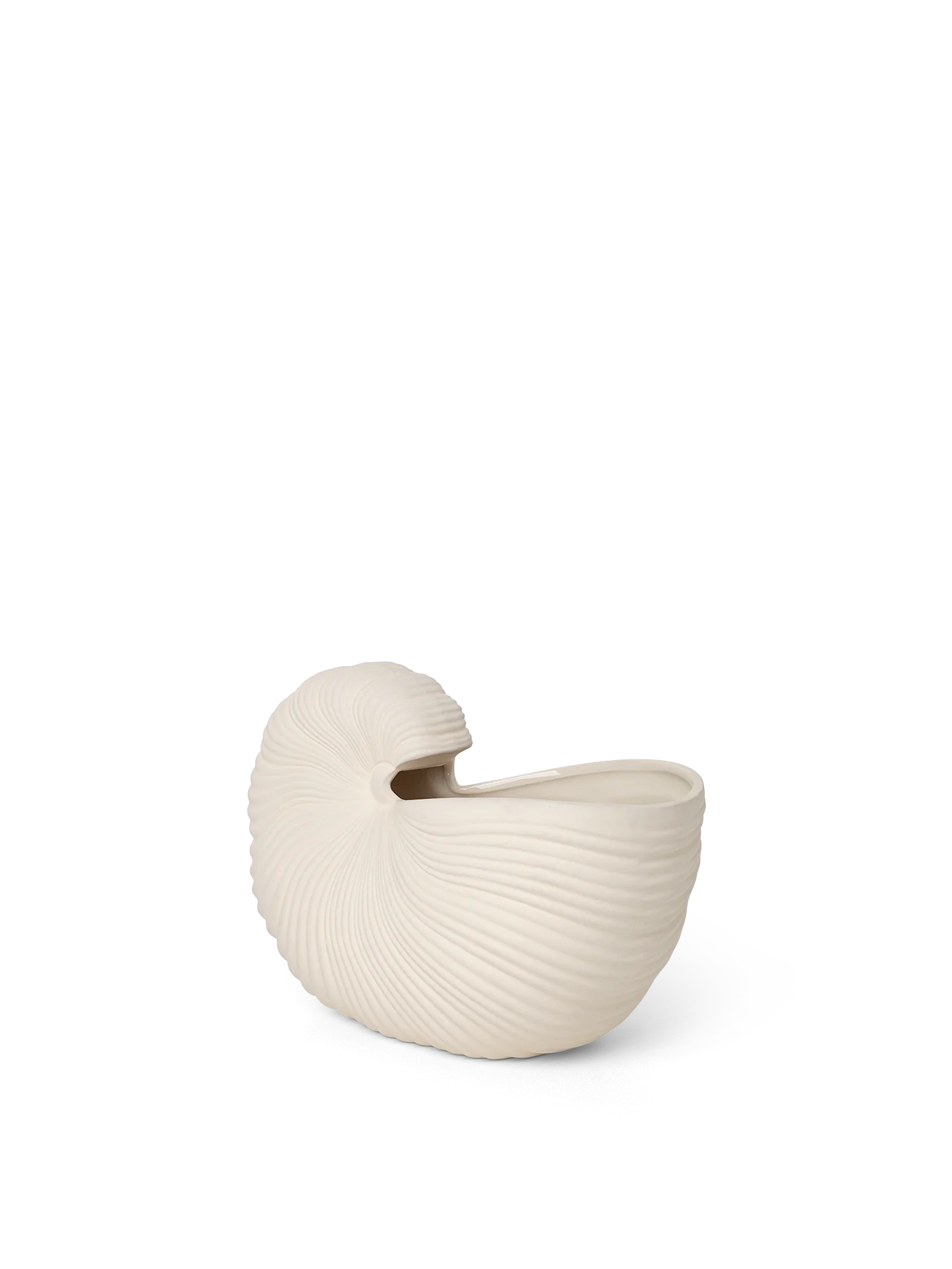 Shell Pot - Off White