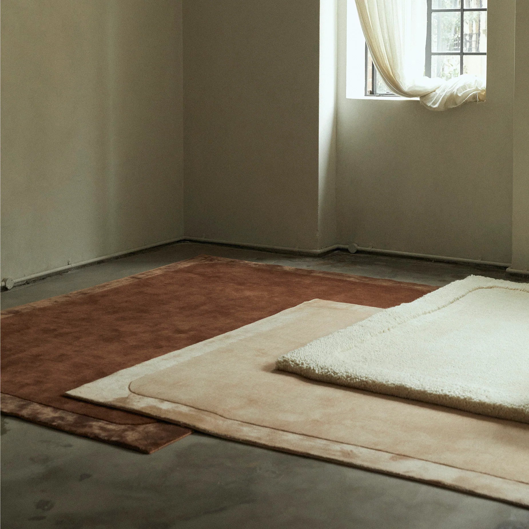 Radius Inverse Floor Rug - Latte